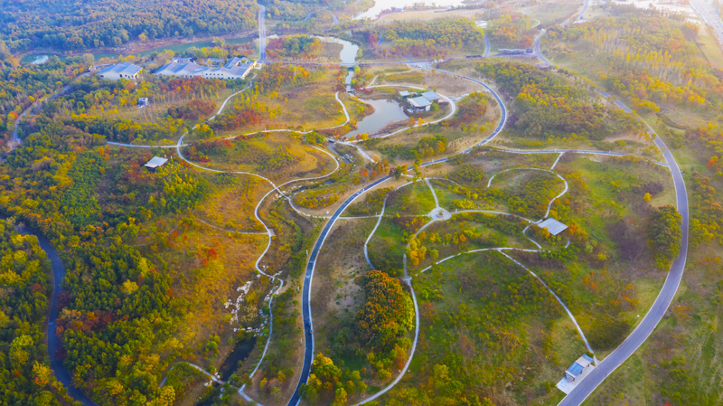 DJI_0293.jpg