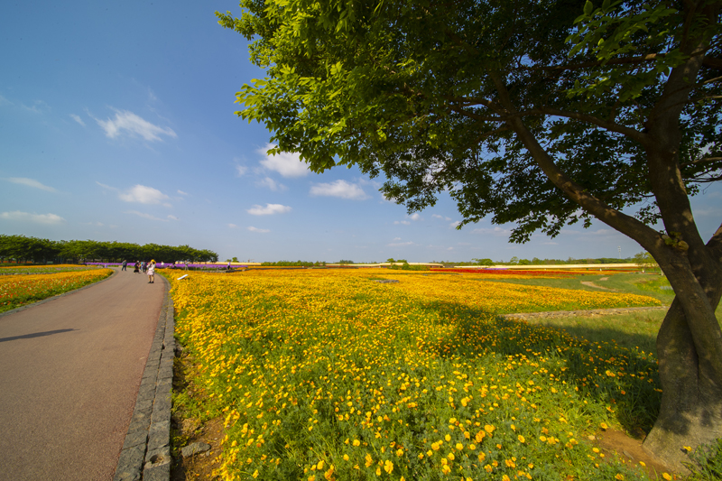陆启辉5月6日 (19).jpg