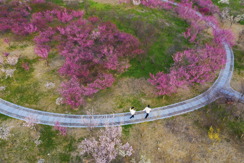 陆启辉3月8日 (12).jpg