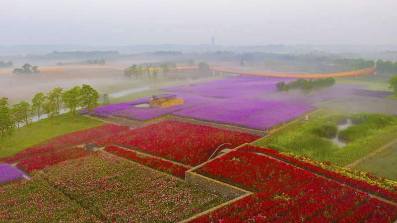 DJI_0784.jpg