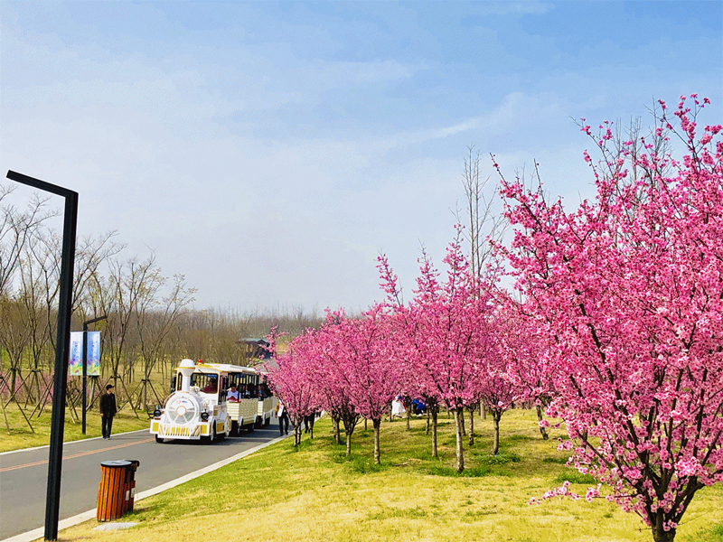 IMG_5730(20190326-124532)_副本.jpg