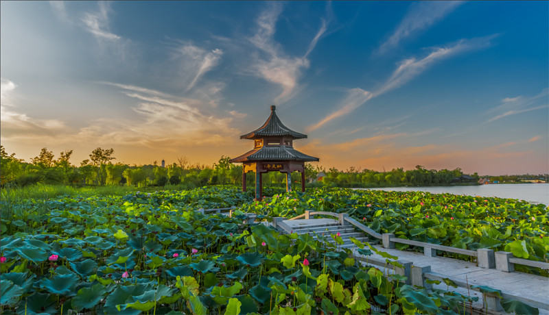微信图片_20190805174152.png