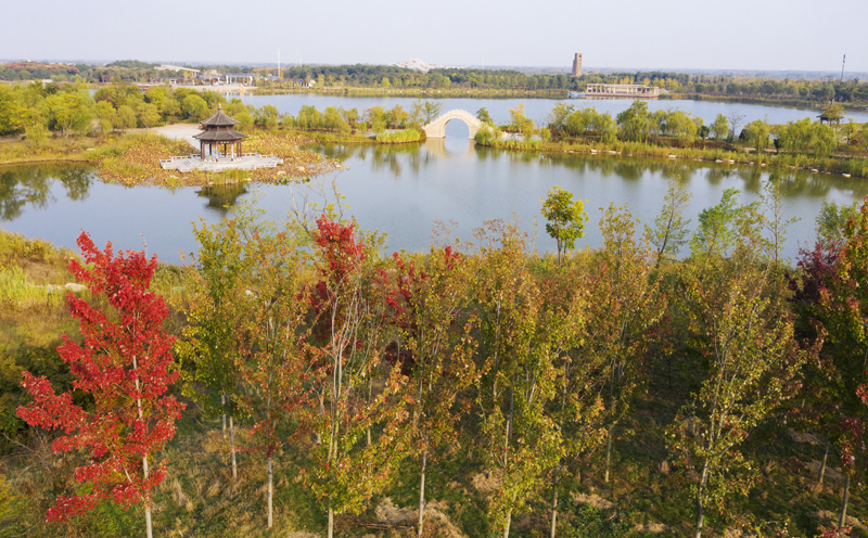 DJI_0990.jpg