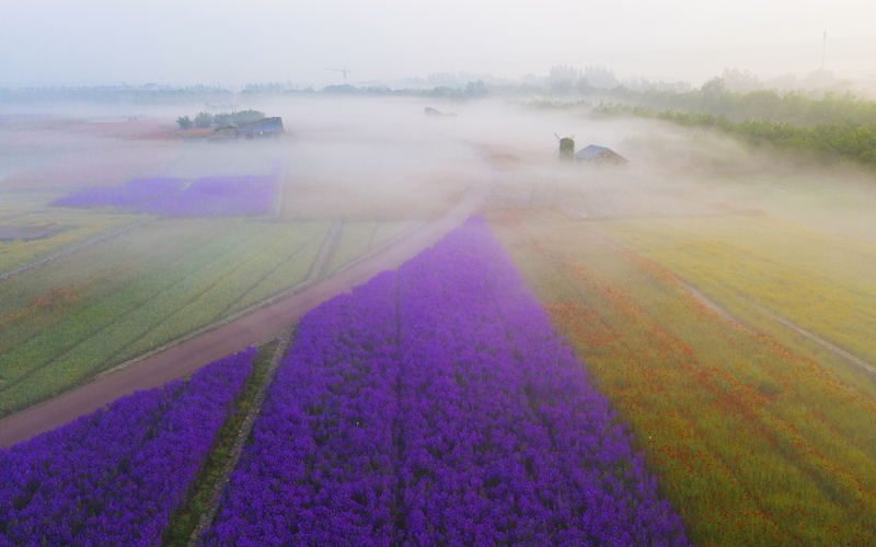 DJI_0776.jpg