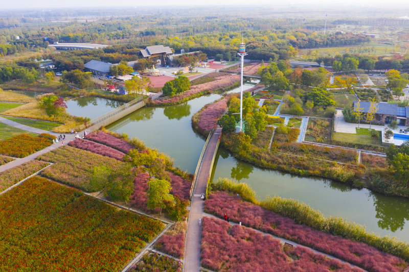 DJI_0992.jpg