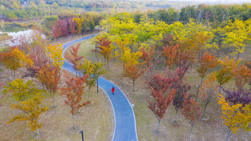 DJI_0297.jpg