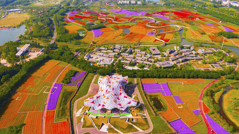 DJI_0490.jpg