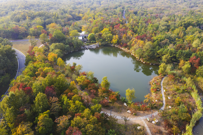 DJI_0974.jpg