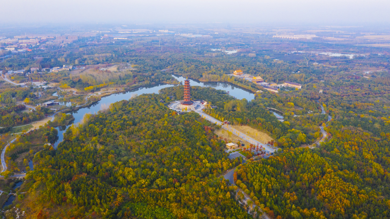 DJI_0295.jpg