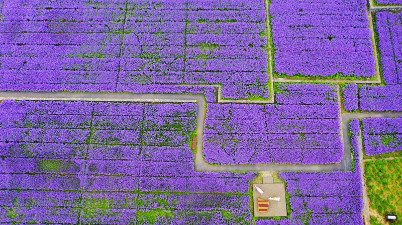 DJI_0332.jpg