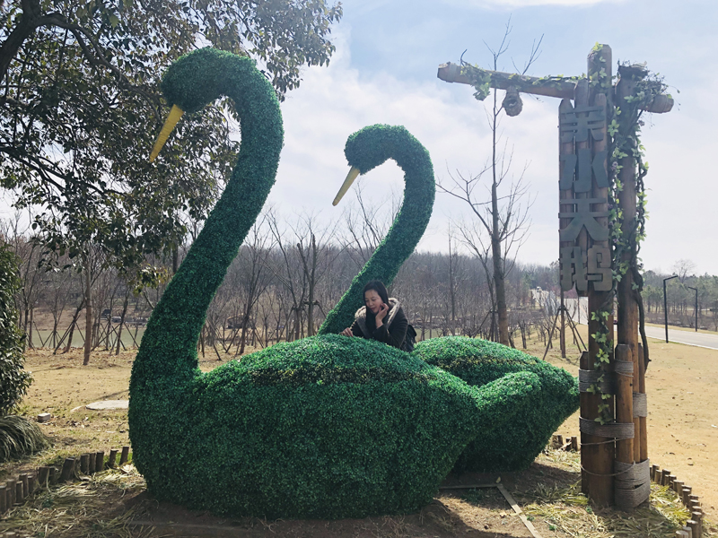 微信图片_201903120908433.jpg